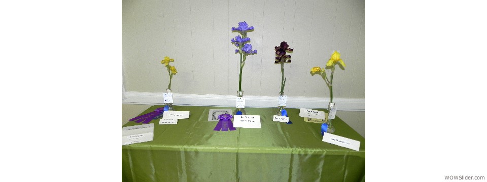 Awards Table