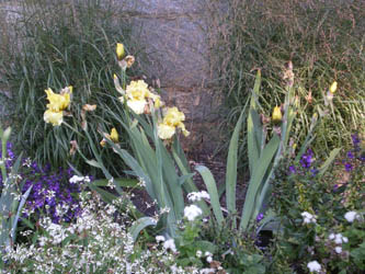 Maymont Planting