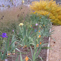 Maymont Planting